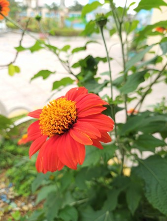 IMG 20200325 085708 255