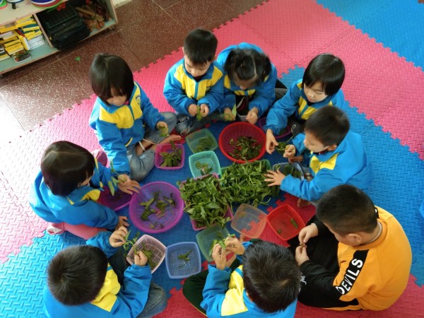 Các cháu đang hăng hái tham gia hoạt động