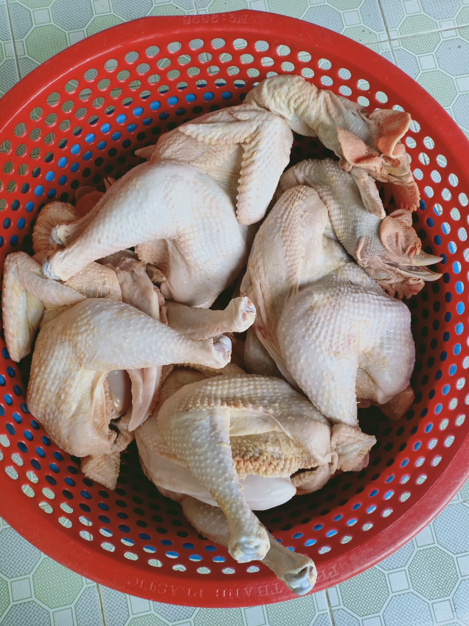 z2078639829907 e68895c4fd306ab44ae7a6b7705a2aa1